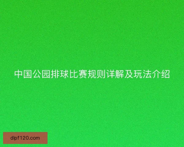 中国公园排球比赛规则详解及玩法介绍